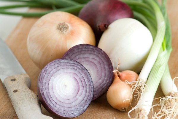 Kraken onion вход