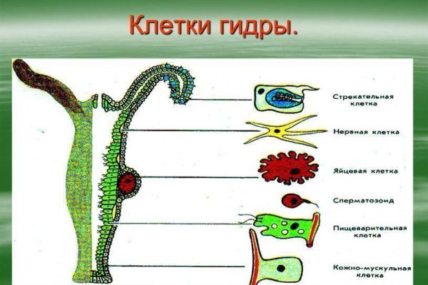 Kraken ссылка зеркало официальный сайт