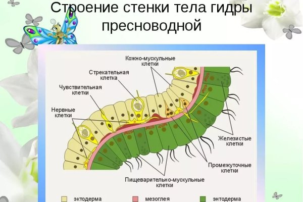 Кракен kr2web in магазин