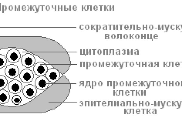 Kraken 17at сайт