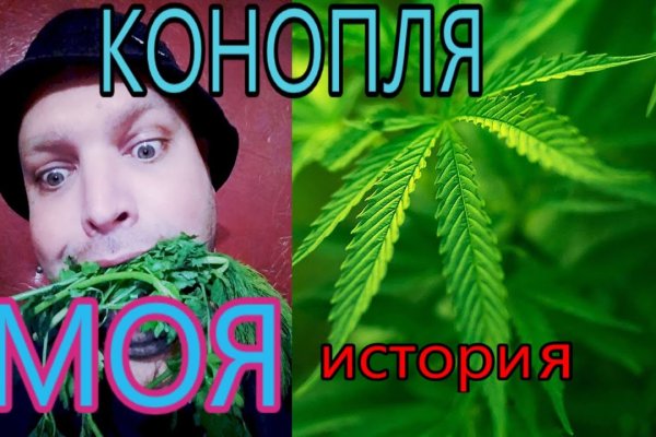Кракен актуальная ссылка тор